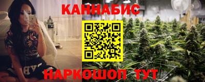 сатива Бийск