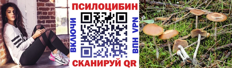 Псилоцибиновые грибы прущие грибы  Волгодонск 